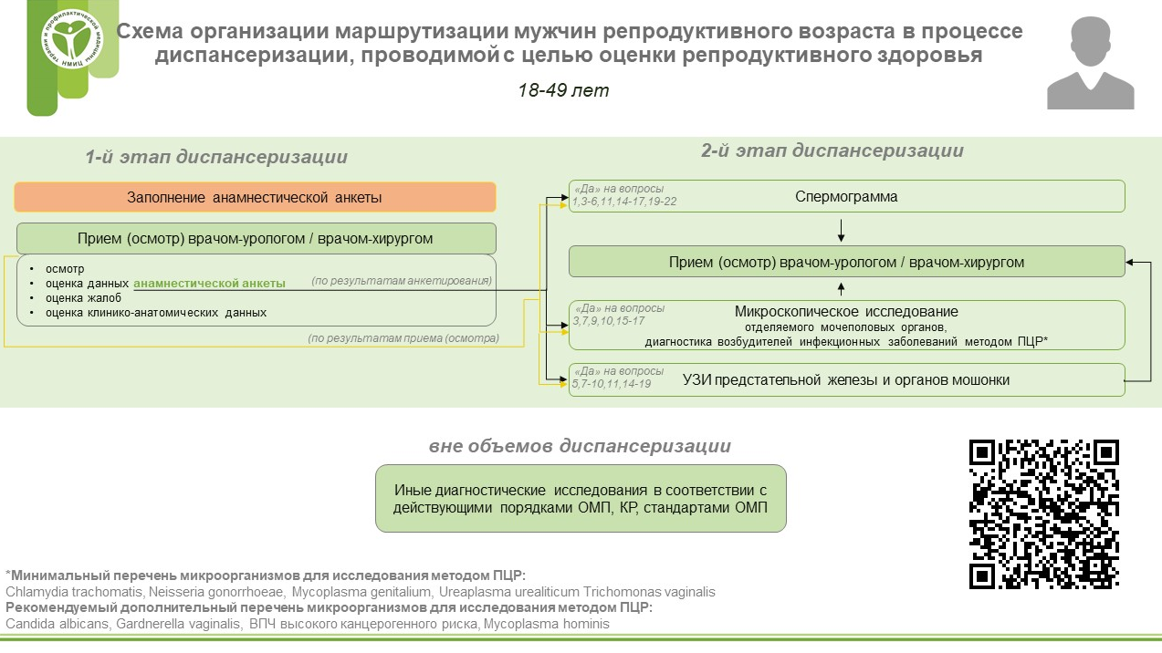 схема диспансеризации 