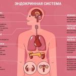 Неделя профилактики заболеваний эндокринной системы: в центре внимания устранение дефицита йода