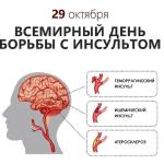 Всемирный день борьбы с инсультом.29 